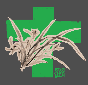 <b>十草 &quotTen Grass"</b> <br>
            Avatar Design<br>
            &quotTen" is a homonym for &quoteat" in Chinese. This work is inspired by a Japanese buzzword, 
            &quotHerbivore men", which describe a man who is &quotnot without romantic relationships, but have a non-assertive, indifferent attitude toward desires of flesh", according to the word's creator.
            The &quotgrass" in the avatar is actually orchid, which has a similar but more lofty meaning with &quotHerbivore men" in Chinese culture. It is painted by a famous Chinese artist, Qi Baishi. <br> 
            2019.07